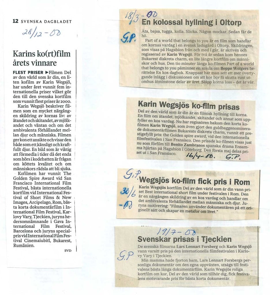 En kofilm